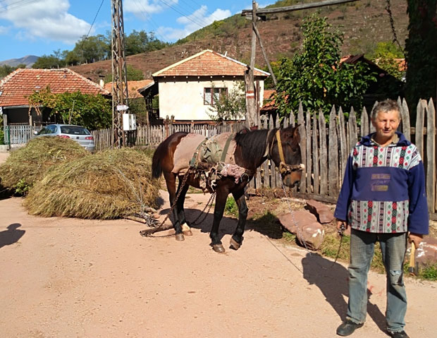 На Сувој ни кап воде, на Старој козје стазе: Муке сточара - горштака са планина код Беле Паланке и из Топлог дола  